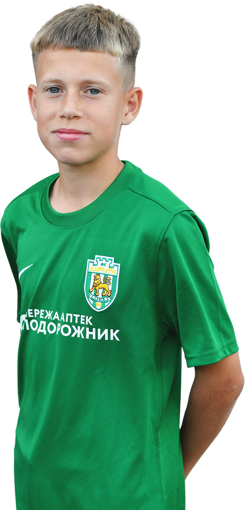Кошка захисник