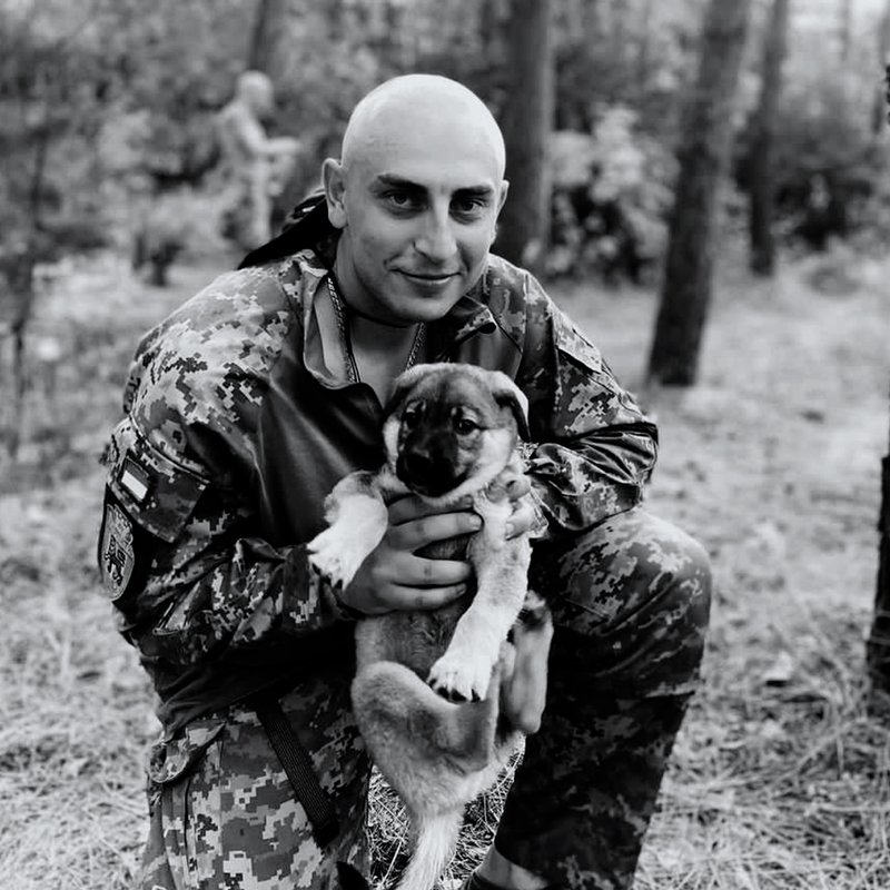 Лицар