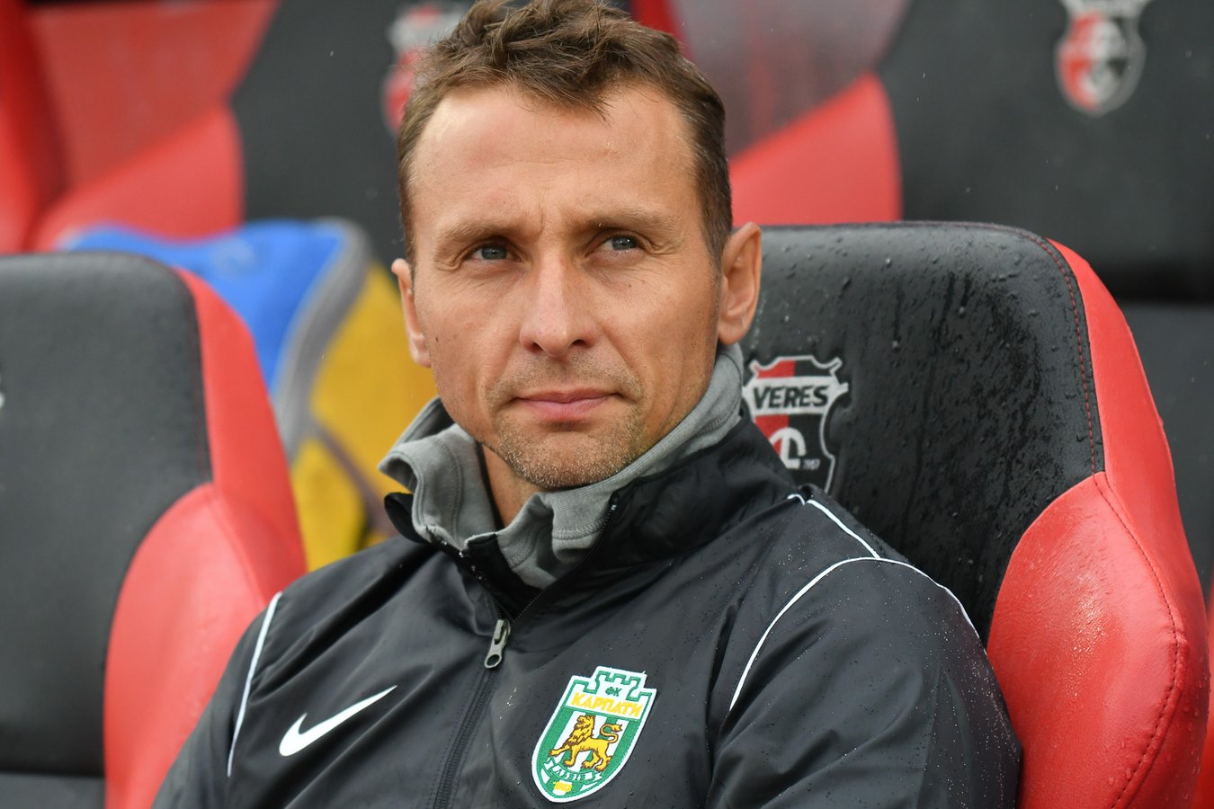 T5S_1029_veres_karpaty_upl_040824