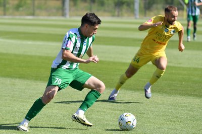 TYS_1412_karpaty-nyvat_030726.jpg