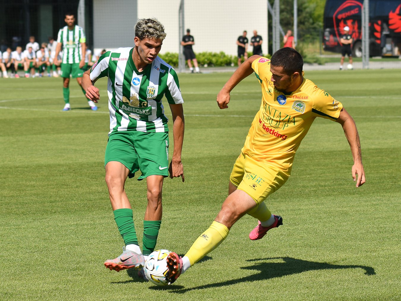 TYS_1649_karpaty-nyvat_030726