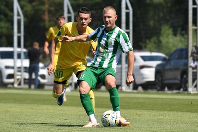 TYS_1839_karpaty-nyvat_030726.jpg
