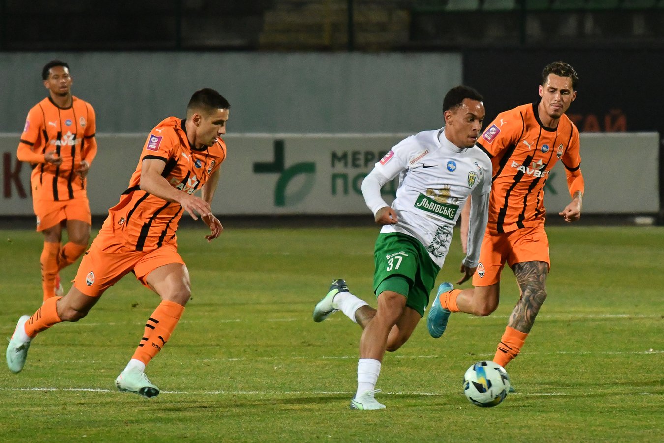 TYS_2622_karp_shakhtar_