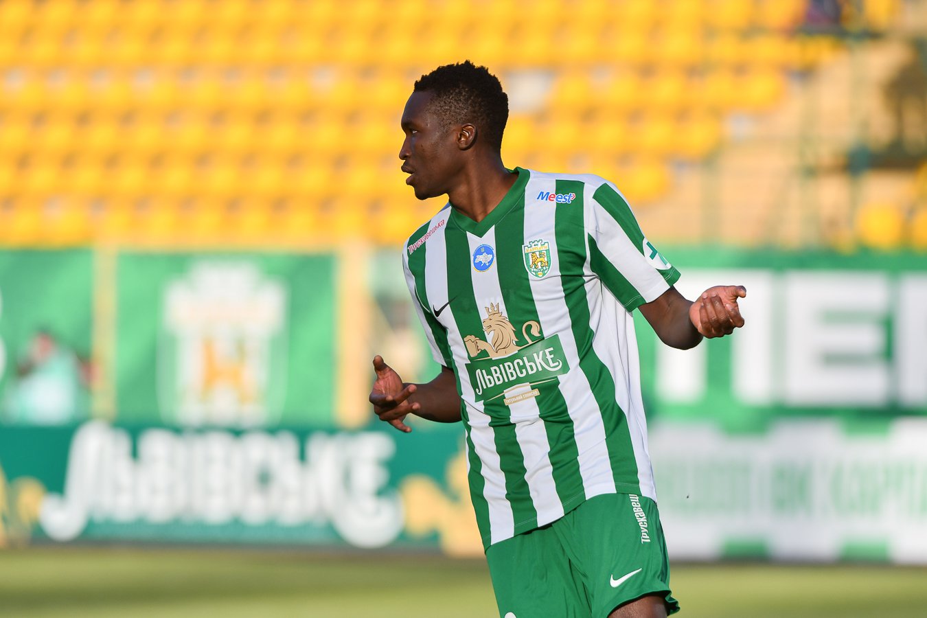 TYS_5216_karpaty_kudr_080326